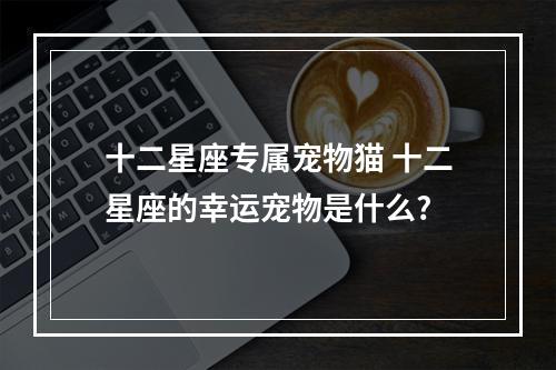 十二星座专属宠物猫 十二星座的幸运宠物是什么?