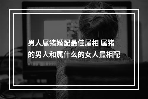 男人属猪婚配最佳属相 属猪的男人和属什么的女人最相配