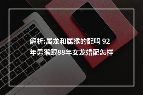 解析:属龙和属猴的配吗 92年男猴跟88年女龙婚配怎样