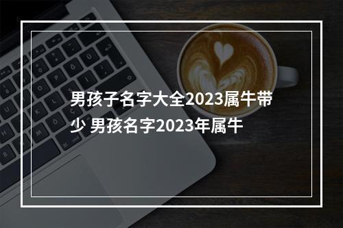 男孩子名字大全2023属牛带少 男孩名字2023年属牛