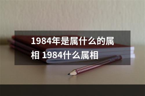 1984年是属什么的属相 1984什么属相