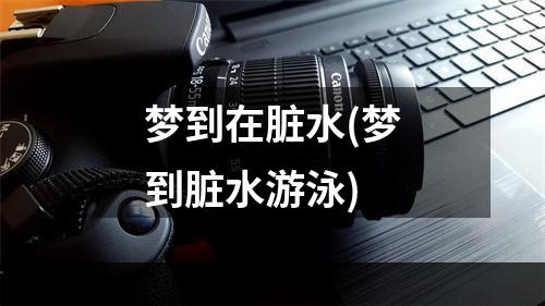 梦到在脏水(梦到脏水游泳)