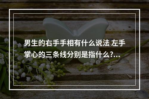 男生的右手手相有什么说法 左手掌心的三条线分别是指什么??
