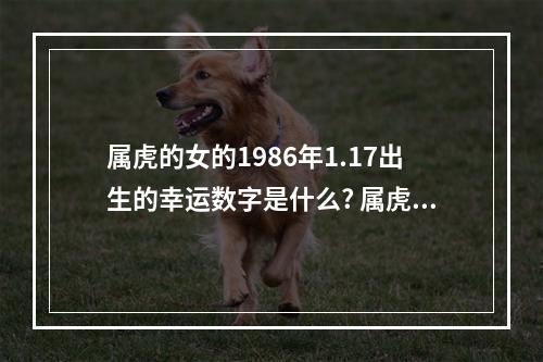 属虎的女的1986年1.17出生的幸运数字是什么? 属虎全阳女的幸运数字几