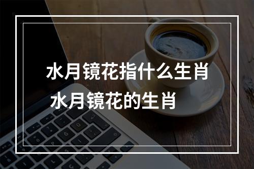 水月镜花指什么生肖 水月镜花的生肖