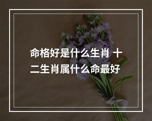 命格好是什么生肖 十二生肖属什么命最好