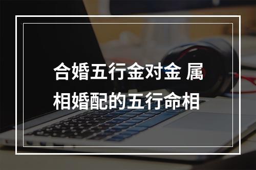 合婚五行金对金 属相婚配的五行命相
