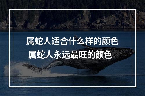 属蛇人适合什么样的颜色 属蛇人永远最旺的颜色
