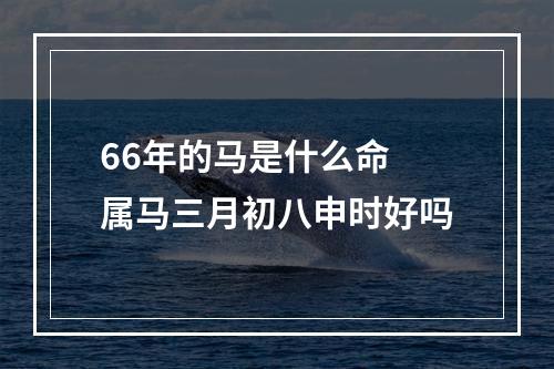 66年的马是什么命 属马三月初八申时好吗