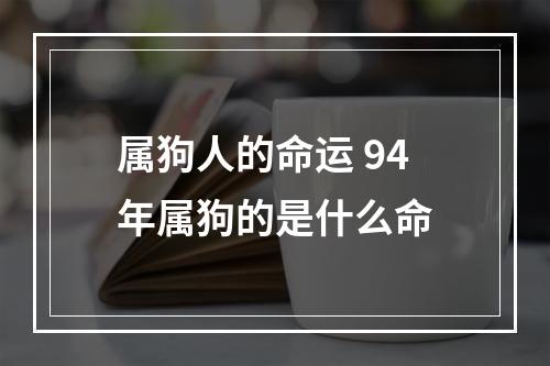 属狗人的命运 94年属狗的是什么命