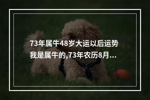73年属牛48岁大运以后运势 我是属牛的,73年农历8月14日生,请大师帮我算一下本命年的运程,本命年...