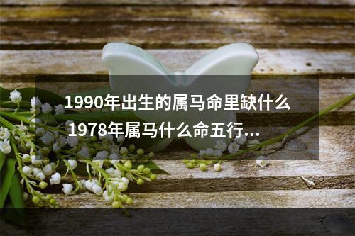 1990年出生的属马命里缺什么 1978年属马什么命五行属性