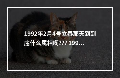 1992年2月4号立春那天到到底什么属相啊??? 1992年正月初一为啥属猴