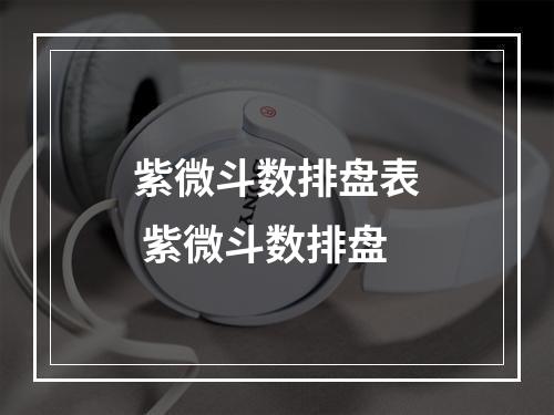 紫微斗数排盘表 紫微斗数排盘