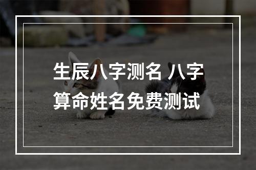 生辰八字测名 八字算命姓名免费测试