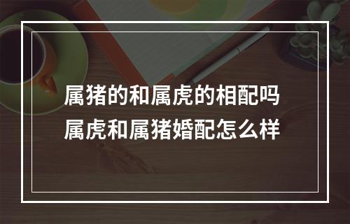 属猪的和属虎的相配吗 属虎和属猪婚配怎么样