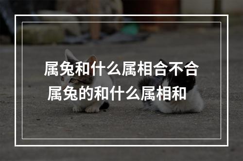 属兔和什么属相合不合 属兔的和什么属相和
