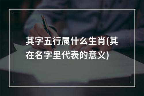 其字五行属什么生肖(其在名字里代表的意义)