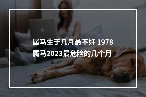 属马生于几月最不好 1978属马2023最危险的几个月