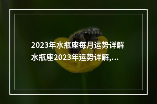 2023年水瓶座每月运势详解 水瓶座2023年运势详解,今年的运势可谓是从一而终,大干一场是真的吗...