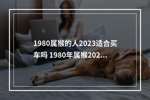 1980属猴的人2023适合买车吗 1980年属猴2023年运势完整版?