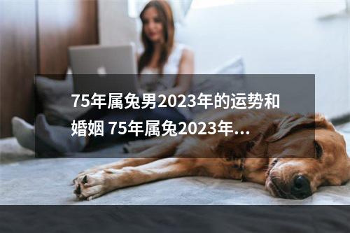 75年属兔男2023年的运势和婚姻 75年属兔2023年运气怎么样