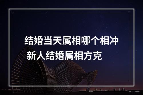 结婚当天属相哪个相冲 新人结婚属相方克