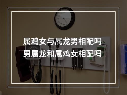 属鸡女与属龙男相配吗 男属龙和属鸡女相配吗