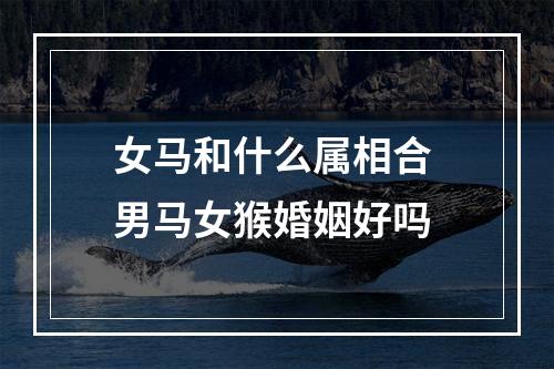 女马和什么属相合 男马女猴婚姻好吗