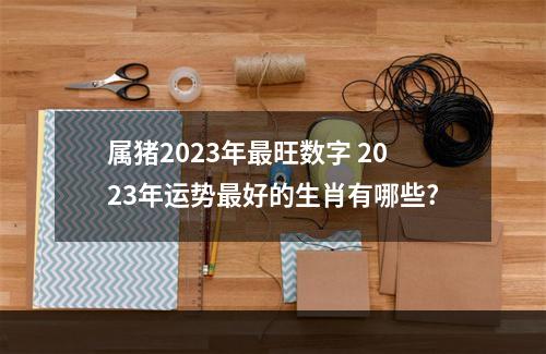 属猪2023年最旺数字 2023年运势最好的生肖有哪些?