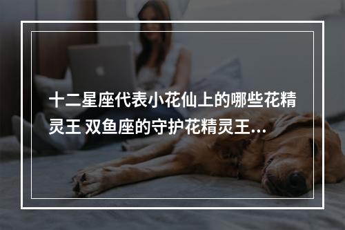 十二星座代表小花仙上的哪些花精灵王 双鱼座的守护花精灵王是最漂亮的吗