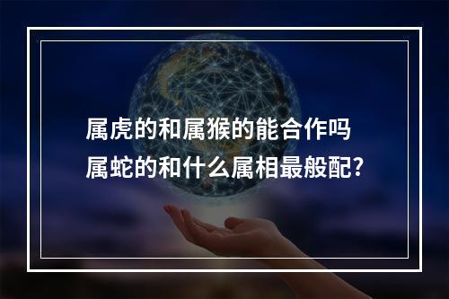 属虎的和属猴的能合作吗 属蛇的和什么属相最般配?