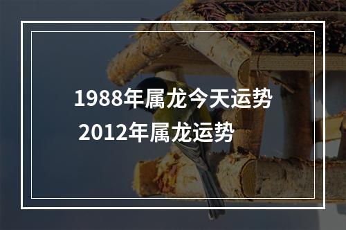 1988年属龙今天运势 2012年属龙运势