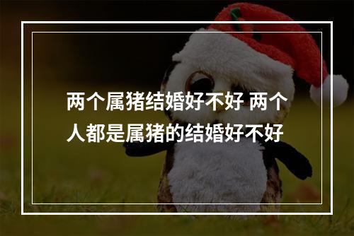 两个属猪结婚好不好 两个人都是属猪的结婚好不好