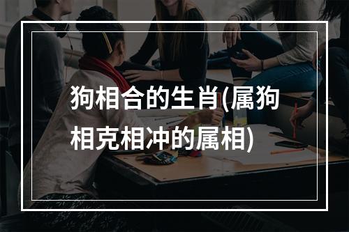 狗相合的生肖(属狗相克相冲的属相)