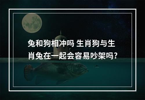兔和狗相冲吗 生肖狗与生肖兔在一起会容易吵架吗?
