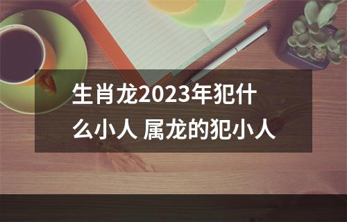 生肖龙2023年犯什么小人 属龙的犯小人