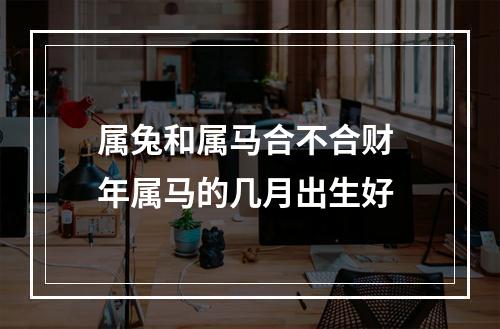 属兔和属马合不合财 年属马的几月出生好