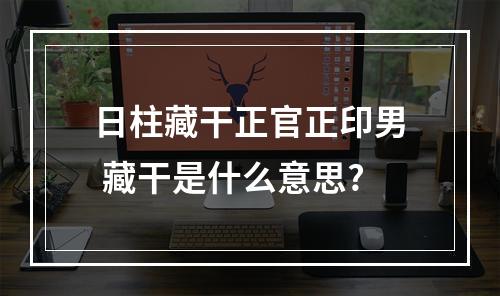 日柱藏干正官正印男 藏干是什么意思?