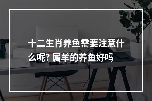 十二生肖养鱼需要注意什么呢? 属羊的养鱼好吗