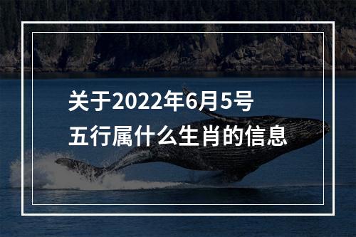关于2022年6月5号五行属什么生肖的信息
