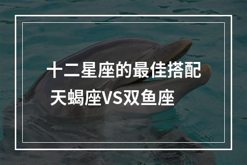 十二星座的最佳搭配 天蝎座VS双鱼座