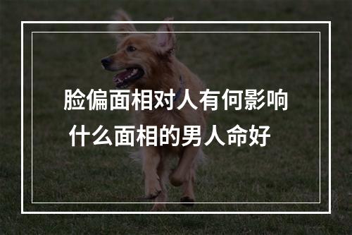 脸偏面相对人有何影响 什么面相的男人命好