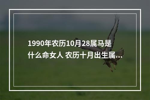 1990年农历10月28属马是什么命女人 农历十月出生属马命运