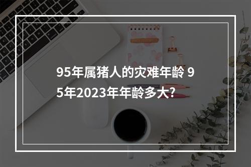 95年属猪人的灾难年龄 95年2023年年龄多大?