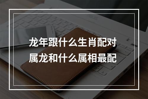 龙年跟什么生肖配对 属龙和什么属相最配
