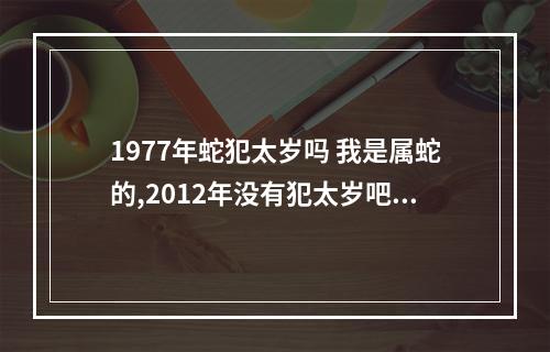 1977年蛇犯太岁吗 我是属蛇的,2012年没有犯太岁吧,那我的运势怎么样?