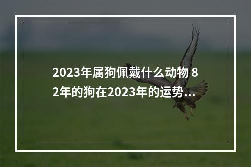 2023年属狗佩戴什么动物 82年的狗在2023年的运势怎么样?
