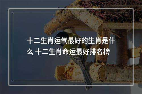 十二生肖运气最好的生肖是什么 十二生肖命运最好排名榜