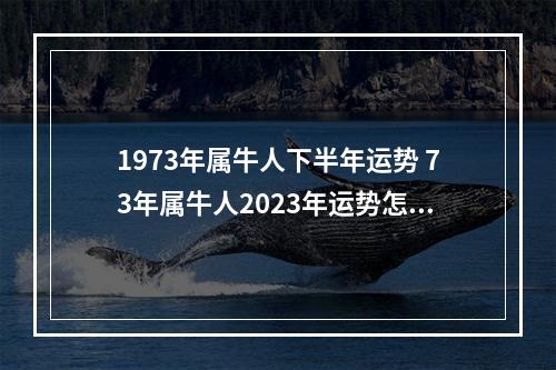 1973年属牛人下半年运势 73年属牛人2023年运势怎么样?